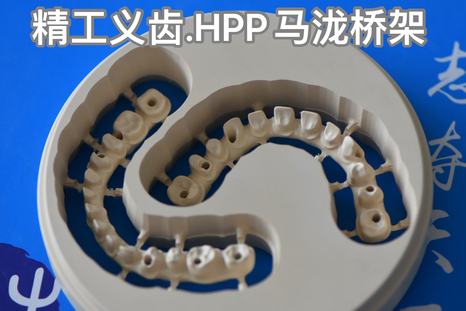 精工義齒-HPP 馬瀧橋架